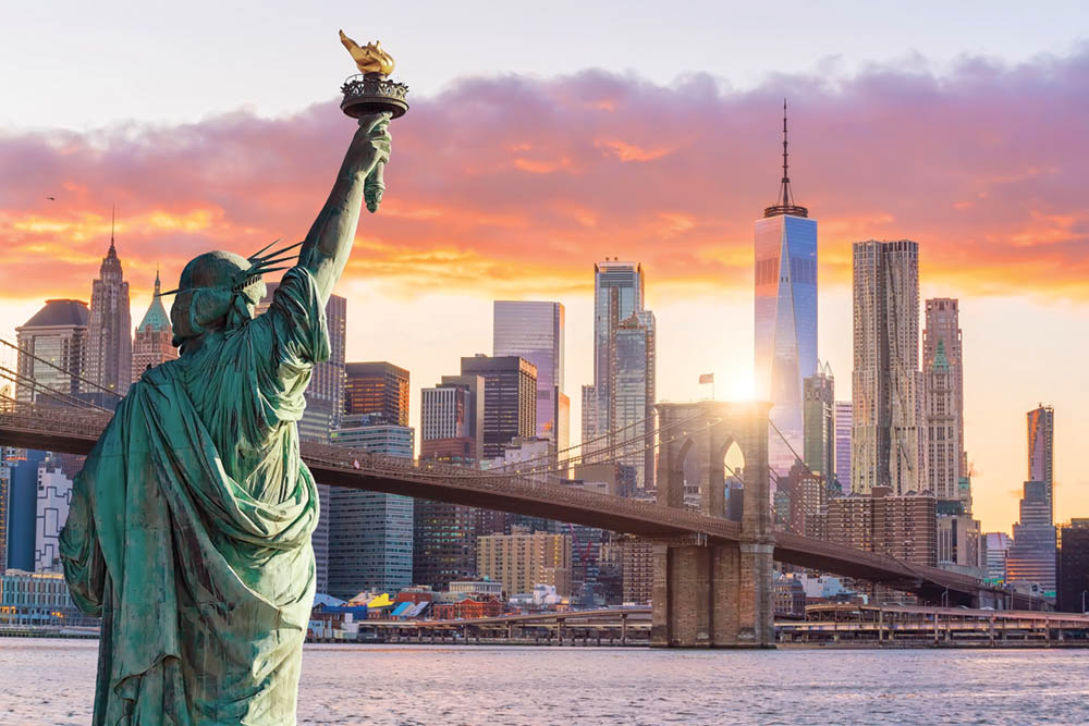 5 Years of Legalization in New York