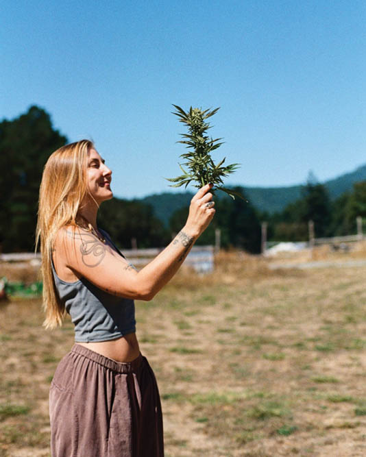 California Icons: Lindsay MaHarry Speaks for the Trees