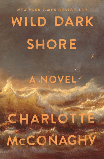 Page Burner: ‘Wild Dark Shore’ by Charlotte McConaghy