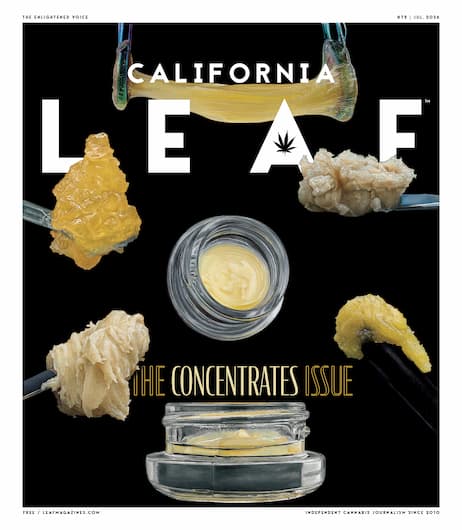 California Leaf