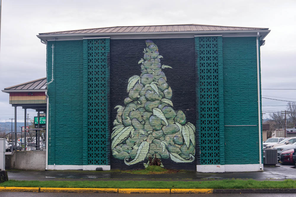 Shop Review: The Freedom Market