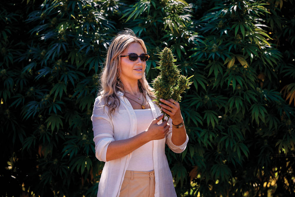 Halle Pennington Catalogs What’s Next in Cannabis