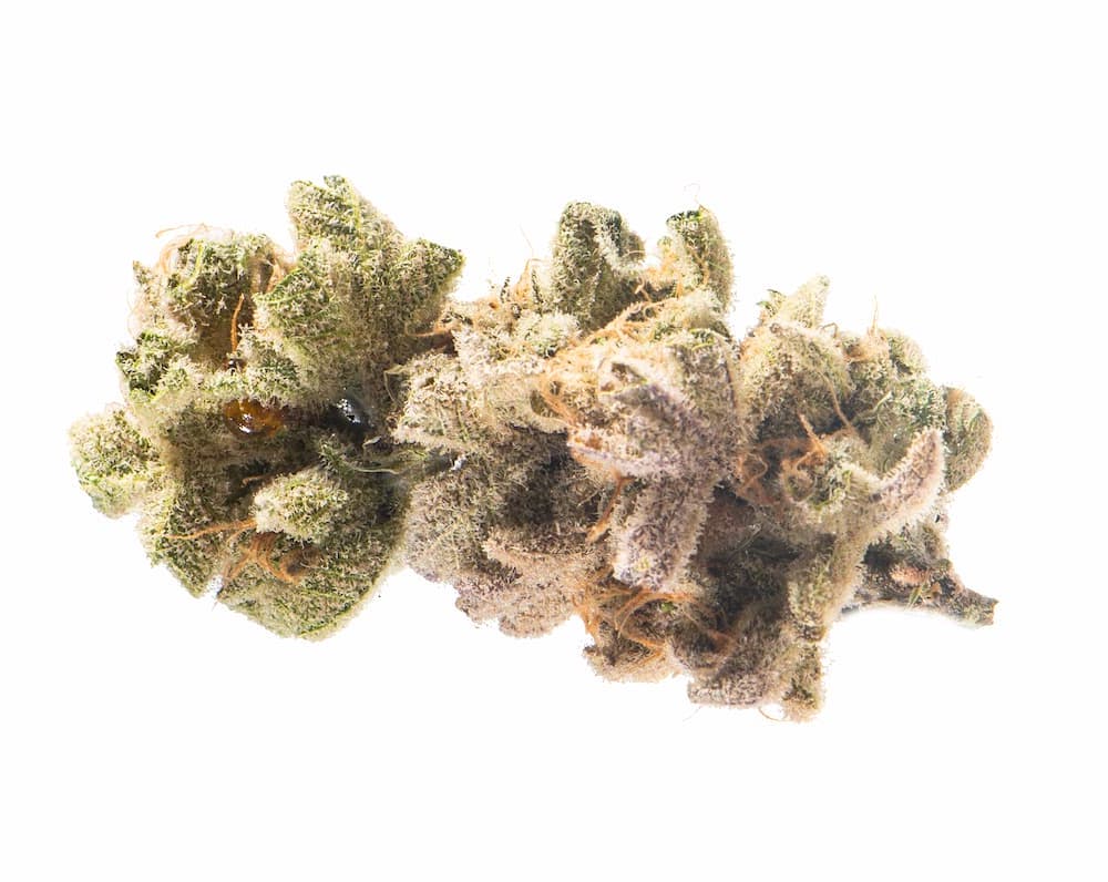 Northwest Leaf 2026 Flower Roundup