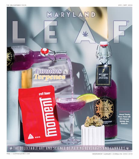 Maryland Leaf