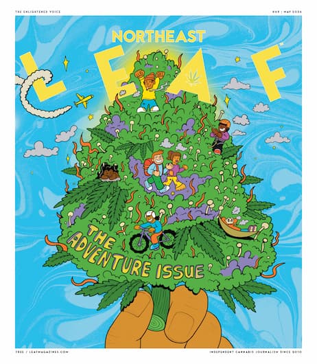 Northeast Leaf