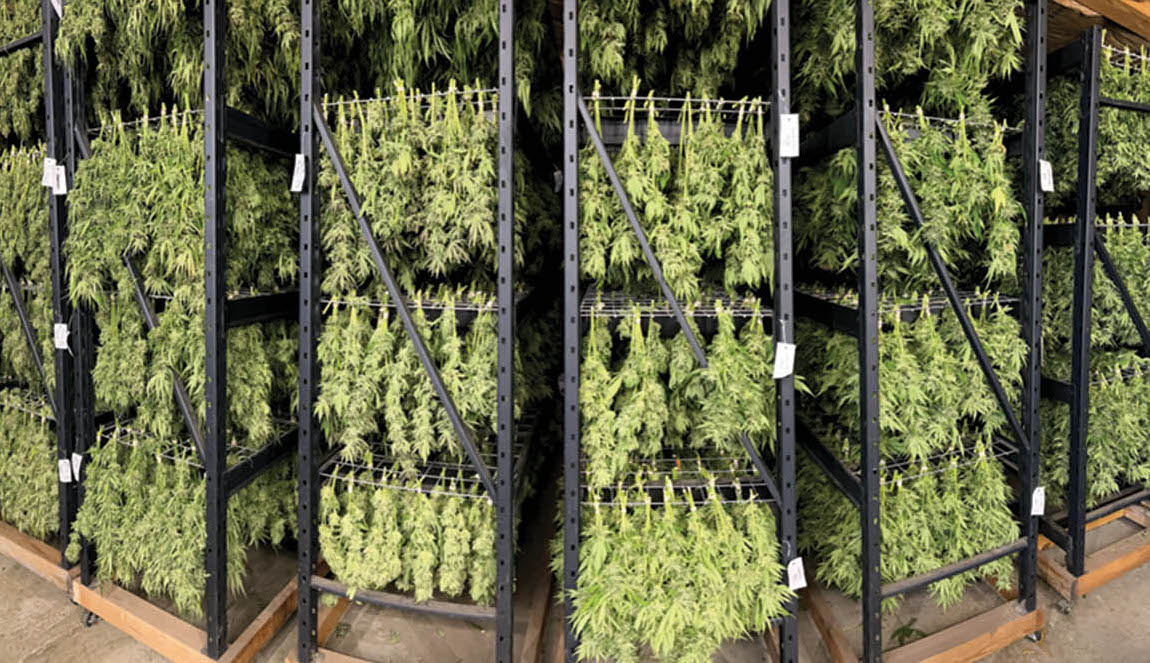 Northwest Leaf Harvest Special: Lazy Bee Gardens