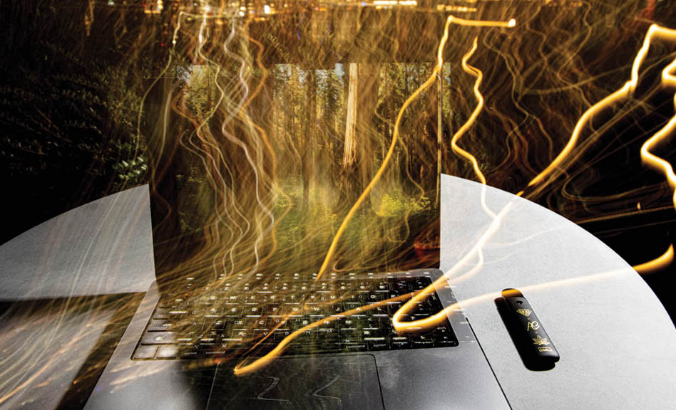 A Dank Digital Detox